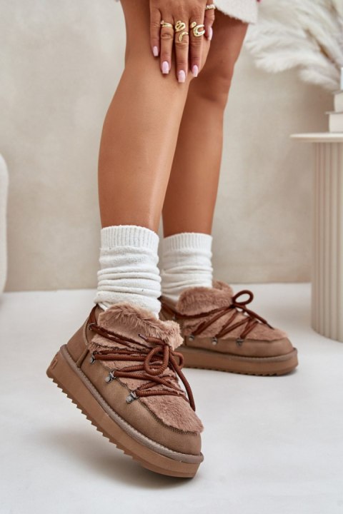 Śniegowce D.Franklin Brown